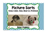 Picture Sorts by Kind, Color, Size, and Real Vs Pretend