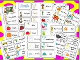 Picture Word Flashcards Curriculum Download Preschool-3rd Grade