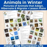 Pictures of Animals that Adapt, Hibernate & Migrate in Win