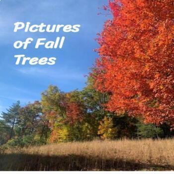 Preview of Pictures of Fall Trees
