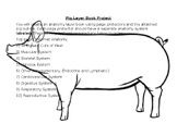 Pig Anatomy Flipbook Project