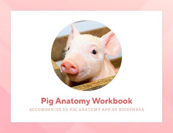Preview of Pig Anatomy Workbook - Dissection Alternatives