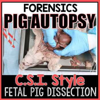 Preview of Pig Autopsy: Fetal Pig Dissection Lab (CSI Style)