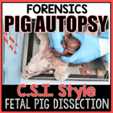 Pig Autopsy: Fetal Pig Dissection Lab (CSI Style)
