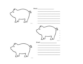 Preview of Pig Breed Notes