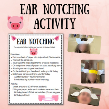 Preview of Pig Ear Notching Activity