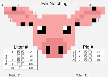 Preview of Pig Ear Notching Guide - Interactive