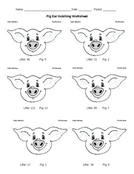 Preview of Pig Ear Notching Worksheet