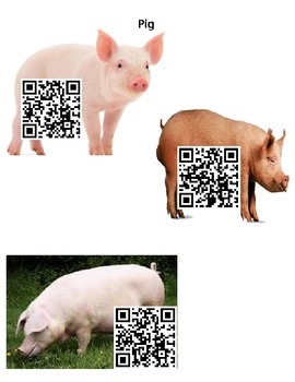 Preview of Pig Facts