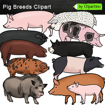types of hogs