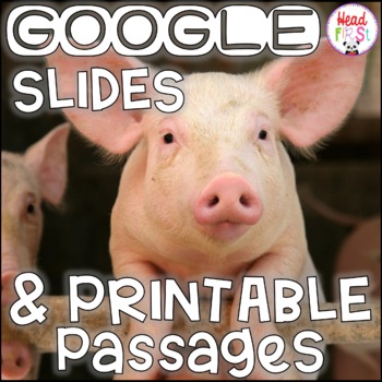 Preview of Pigs NONFICTION GOOGLE and PRINTABLE Passages and Writing Activities