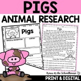 Pigs Research Writing Reading | Animal Research Report