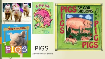 Preview of Pigs in Agriculture: Everything you want to know!