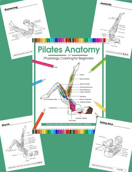 Preview of Pilates Anatomy and Physiology Coloring for Beginners