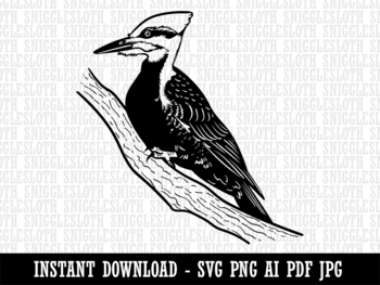 Pileated Woodpecker Bird on Branch Clipart Instant Digital Download