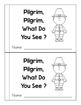 Preview of Pilgrim, Pilgrim, What Do You See?