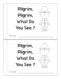 Pilgrim, Pilgrim, What Do You See?