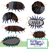 Roly Poly / Pill Bug and Sow Bug Clip Art Set