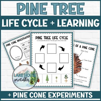 Preview of Pine Cone Research: Pine Tree Investigation and Life Cycle