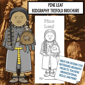 Preview of Pine Leaf Biography Trifold Graphic Organizer
