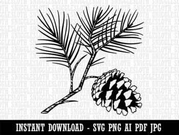 pine cone black and white