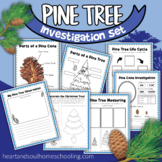 Pine Tree Investigation Worksheets Activities