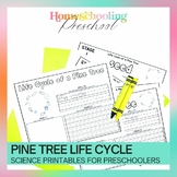 Pine Tree Life Cycle Activity Sheets