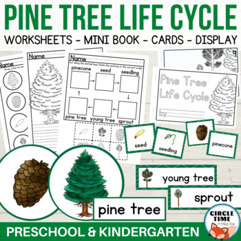 Preview of Pine Tree Life Cycle Worksheets Christmas Sequence Kindergarten Preschool Print