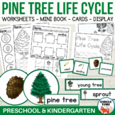 Pine Tree Life Cycle Worksheets Christmas Sequence Kinderg