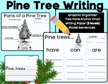 Preview of Pine Tree Writing and Labeling- Informative (Have Can Are) w/ Anchor Charts