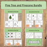 Pine Tree and Pinecone Evergreen Coniferous Work! Montesso