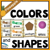Pineapple Classroom Decor Colors & Shapes Posters