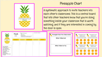 Preview of Pineapple Chart - Instructional Coach - Staff Collaboration 