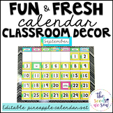 Pineapple Classroom Decor: Calendar Set