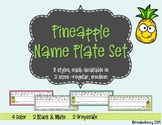 Pineapple Desk Name Tags  Name Plates