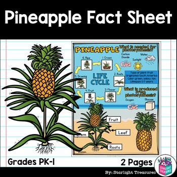 Preview of Pineapple Fact Sheet for Early Readers - Plant Study