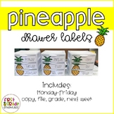 Pineapple Themed Drawer Labels (EDITABLE)