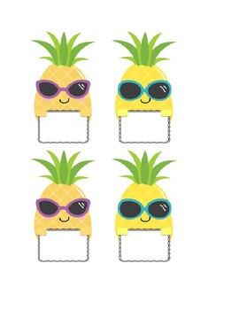 Pineapple tags/labels by Caitie Wellman | TPT