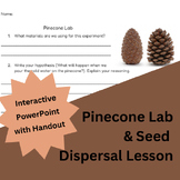 Pinecone Lab & Seed Dispersal Lesson
