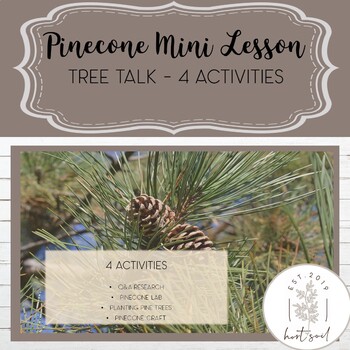Preview of Pinecone Mini Lesson