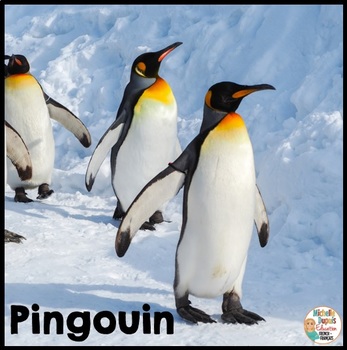 Preview of Pingouin