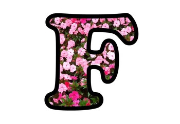 Preview of Pink Flowers, Bulletin Board Letters, Numbers and Symbols, Spring Alphabet Decor