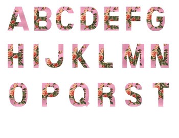 Pink Gingham and Roses Letters by Evelyn Stevenson | TpT