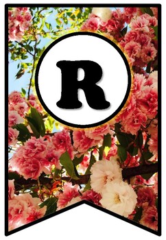 Preview of Pink Roses, Pennant Banner Bulletin Board Letters, Flowers, Spring Decor