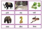 Pink Series Montessori BLACK Script 3 Part Cards in Spanish
