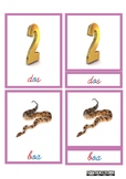 Pink Series Montessori Cursive Reading 3 Part Cards in Spanish