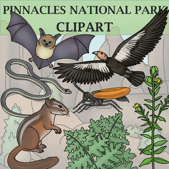 Preview of Pinnacles National Park Clipart - Plants and Animals of the National Parks