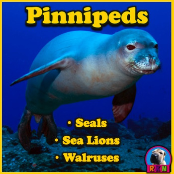 pinnipeds