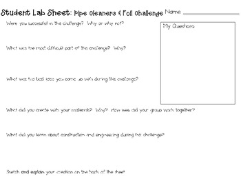 10 Pipe Cleaner Projects in STEM - Teachers are Terrific