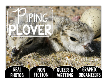 Preview of Piping Plover-A Research Project